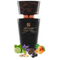 PÁNSKÝ parfém  s 30 % vonných esencí 70 ml CHOGAN 265 PÁNSKÝ parfém  s 30 % vonných esencí 70 ml CHOGAN 265